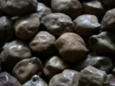 Black Chana