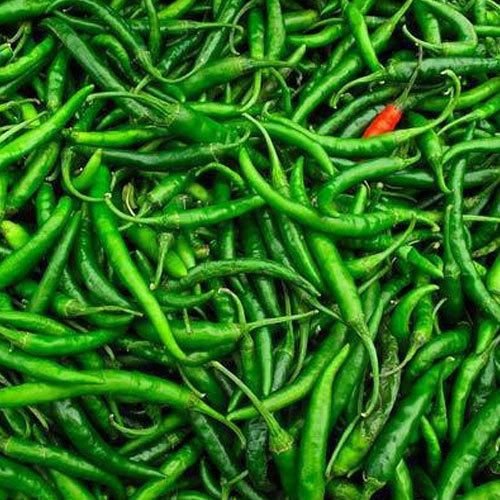 G4 Green Chili
