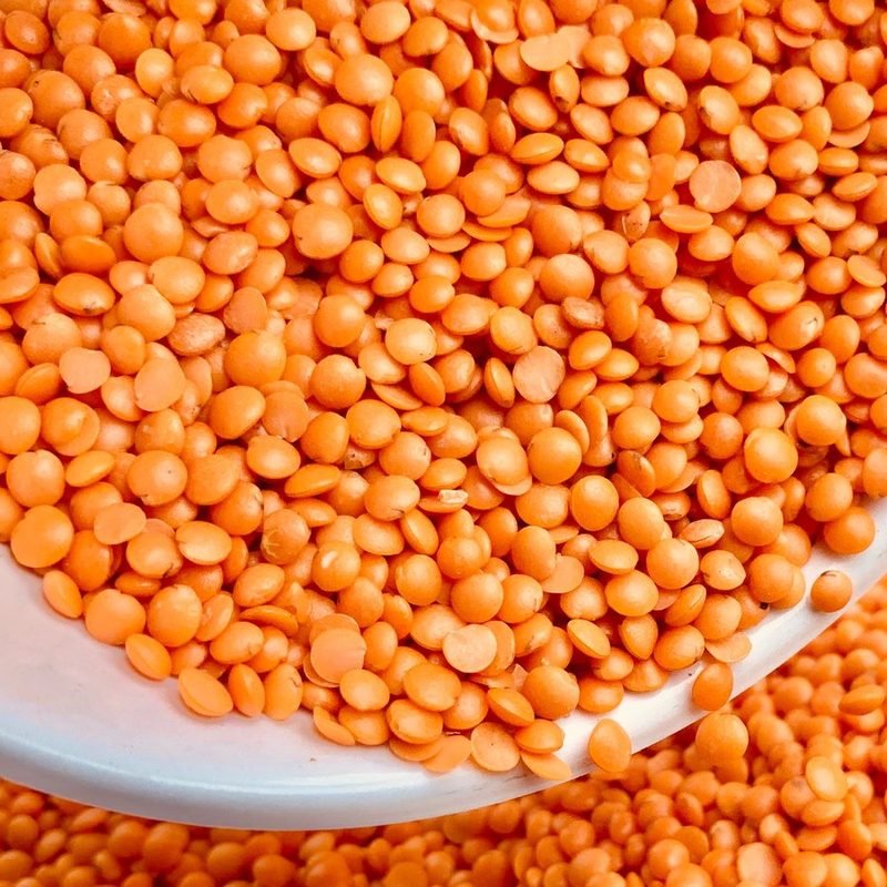 Red Lentils