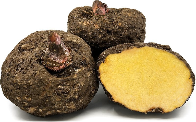 Suran / Elephant Yam